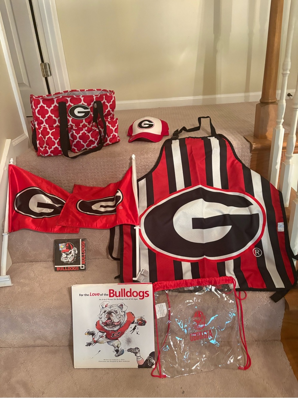 UGA football tailgate kit.